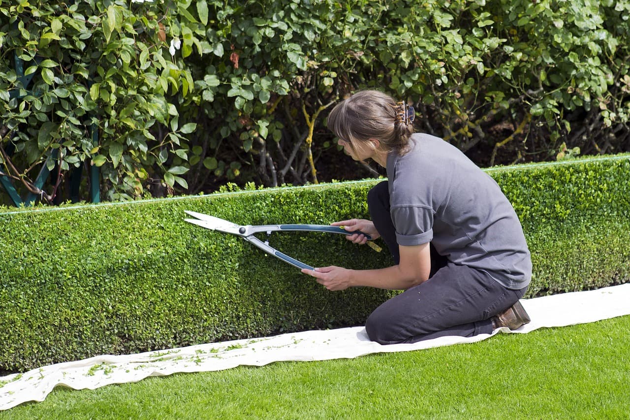 Landscaping & Outdoor